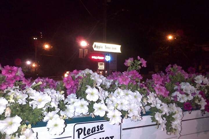 Apple Tree Inn