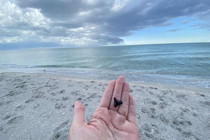 Manasota Key Resort