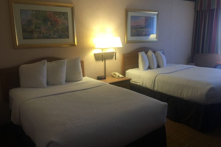 Room 26 of 34