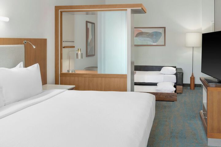 SpringHill Suites Detroit Auburn Hills