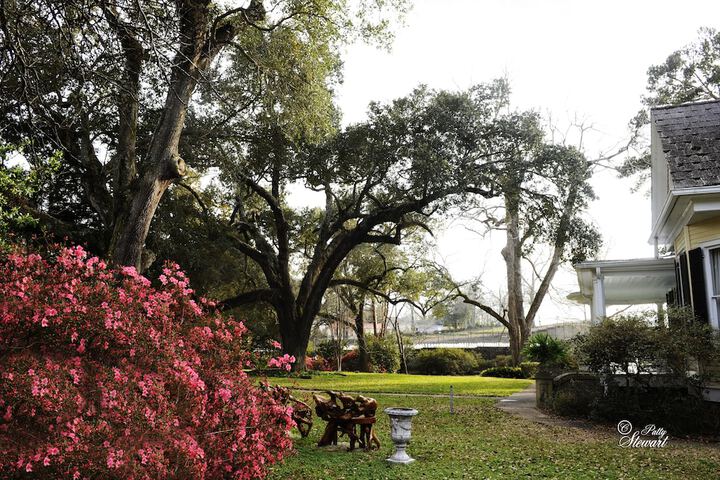 Clermont Bluffs B & B
