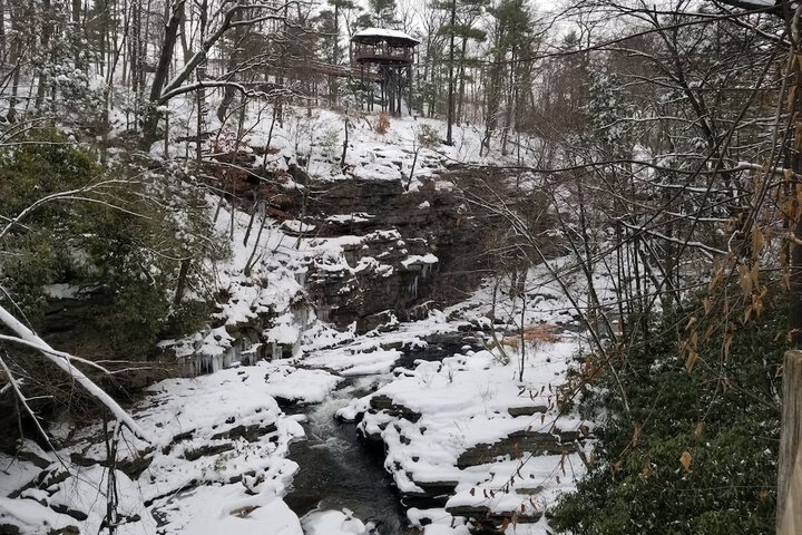 Property Grounds 50 of 52