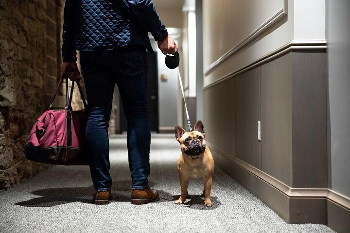Pet Friendly 42 of 46