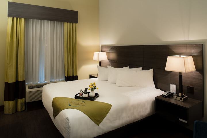 Malana Hotels & Suites