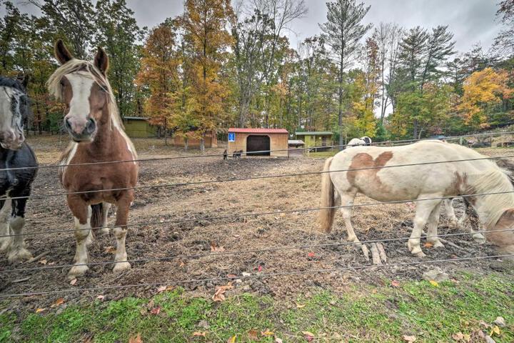 ‘John Wayne Apartment - Deck BBQ, Horses On-Site