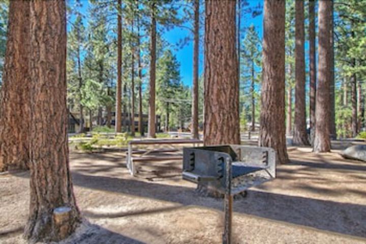 Property Grounds 15 of 22