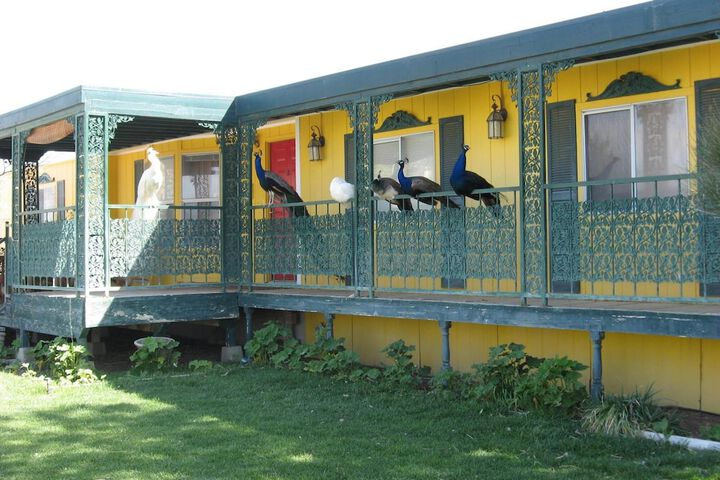 Shady Lady Bed & Breakfast