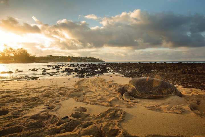 Marriotts Waiohai Beach Club