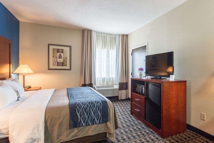 Comfort Inn Decatur Priceville