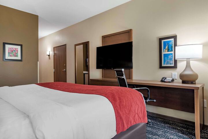 Comfort Inn & Suites Downtown near University