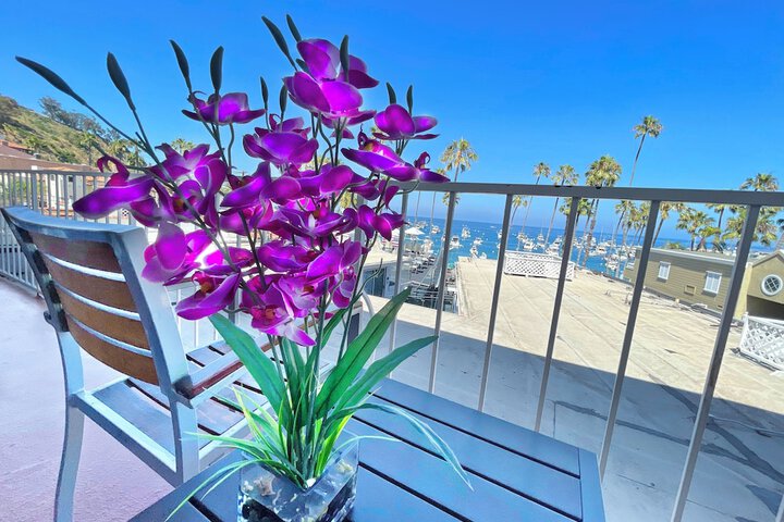 Terrace/Patio 58 of 62