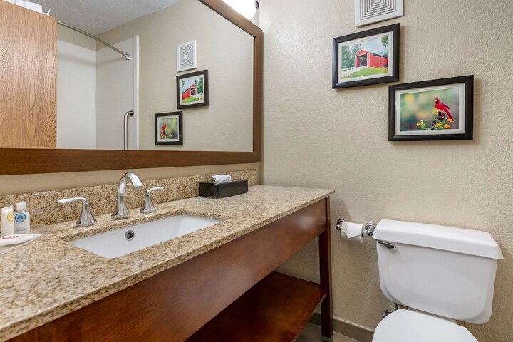Comfort Inn Near Kokomo Speedway