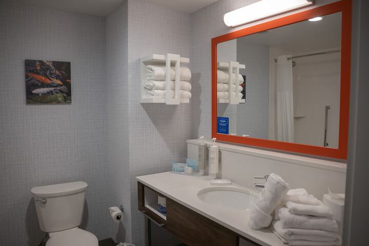 Hampton Inn & Suites Erie Bayfront