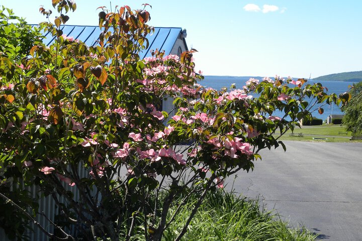 Colonial Gables Oceanfront Village