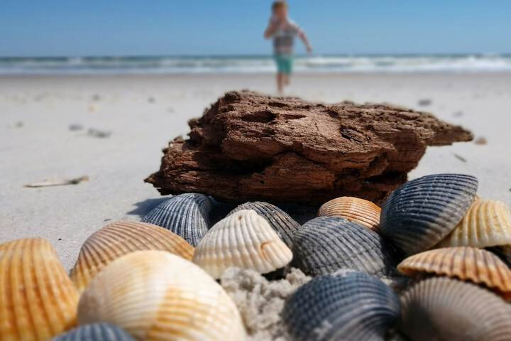 Ocean Sands Beach Boutique Inn - 1 Acre Private Beach