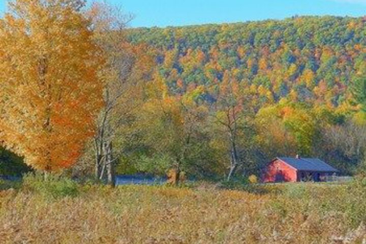 Mountain Horse Farm