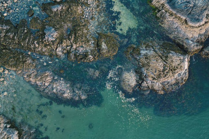 Duffin Cove Oceanfront Lodging