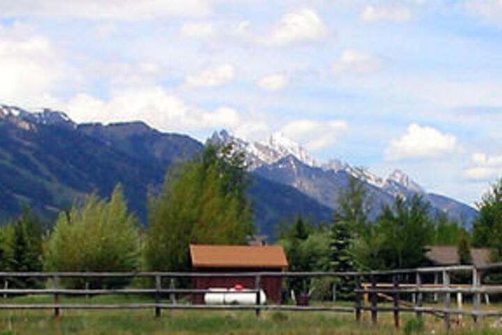 The Sassy Moose Inn