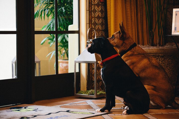 Kimpton Canary Hotel by IHG