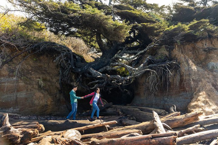 Kalaloch Lodge