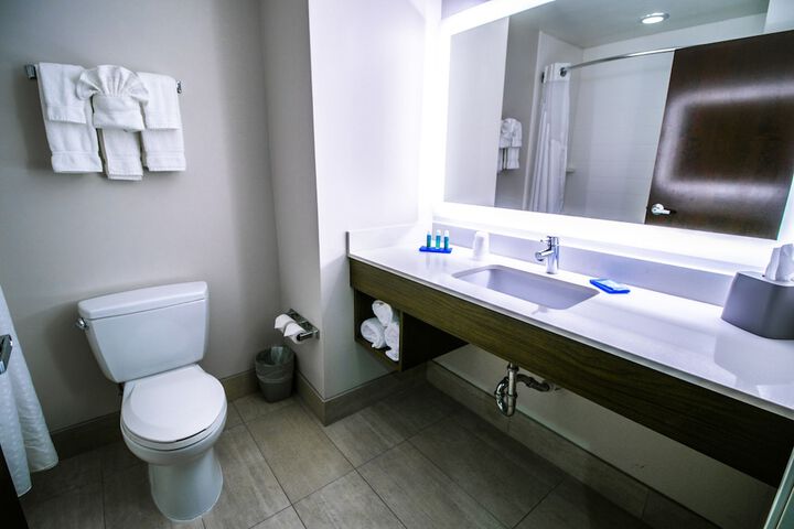 Holiday Inn Express Hotel & Suites a Baton Rouge-Port Allen by IHG