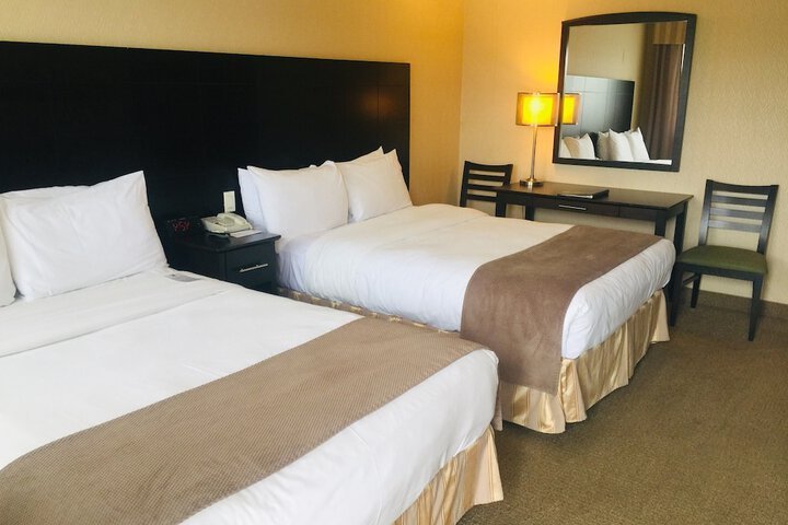 Hotel - Motel Coconut