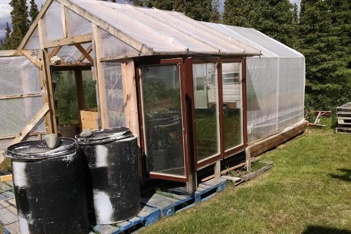Denalis Alaskan Spruce Cabins