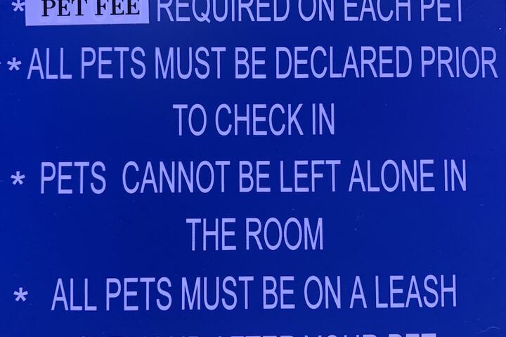 Pet Friendly 51 of 57