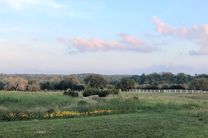 The Alexander at Creek Road