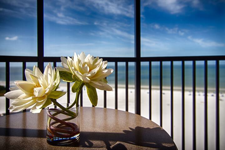 Pointe Estero Beach Resort