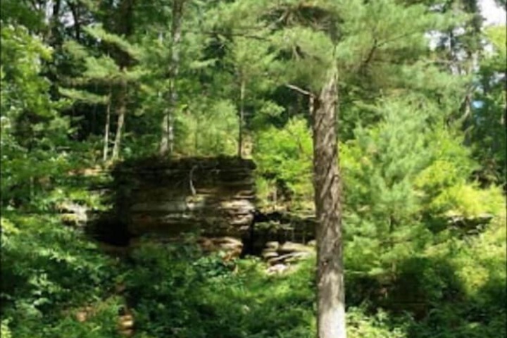 Property Grounds 43 of 50