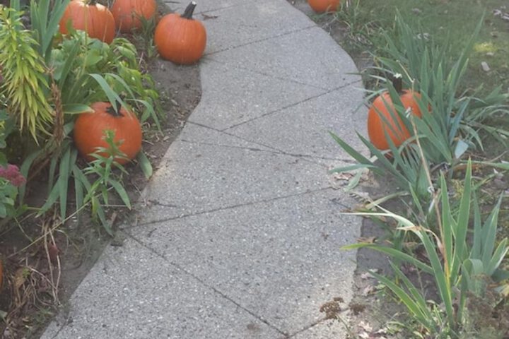 Property Grounds 53 of 53