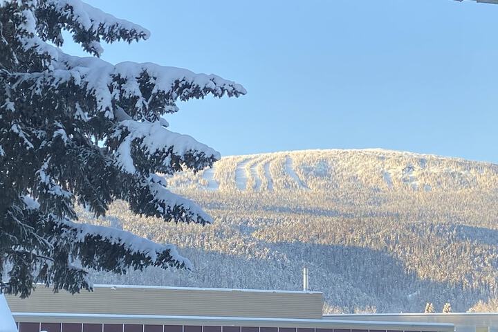 Mountain View Motel