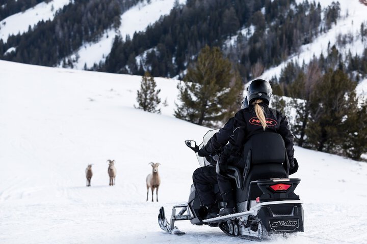 Four Seasons Resort Jackson Hole