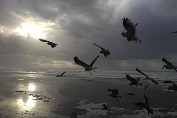 Rockaway Shores