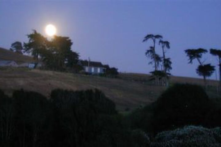 Point Reyes Vineyard Inn