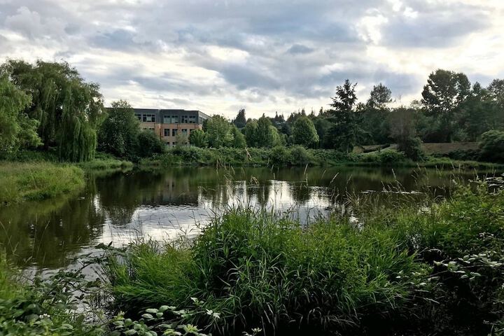 Hotel 4 of 35