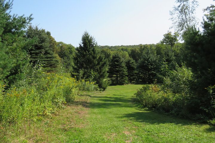 Property Grounds 58 of 64