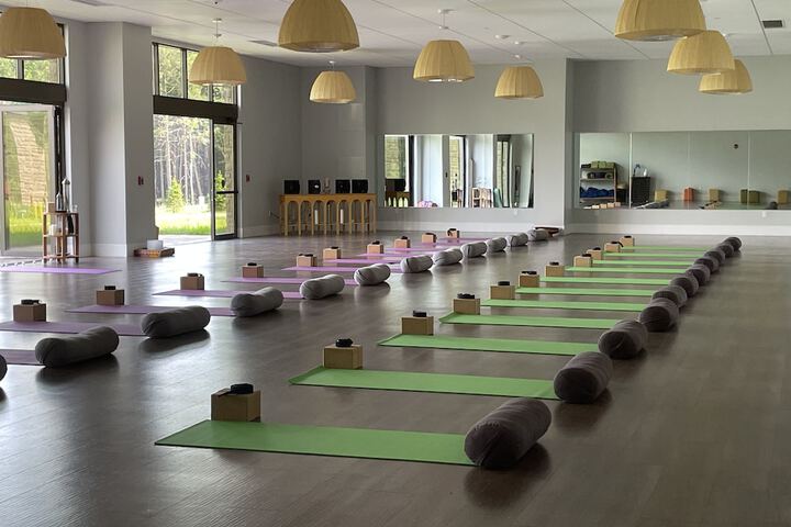 YO1 Longevity & Health Resorts Catskills