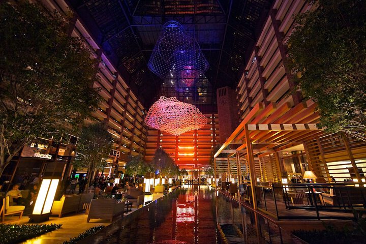 Hilton Anatole