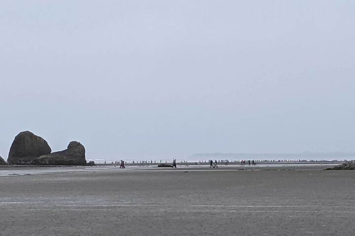 Coastal Washington Getaway: Walk to Beach!