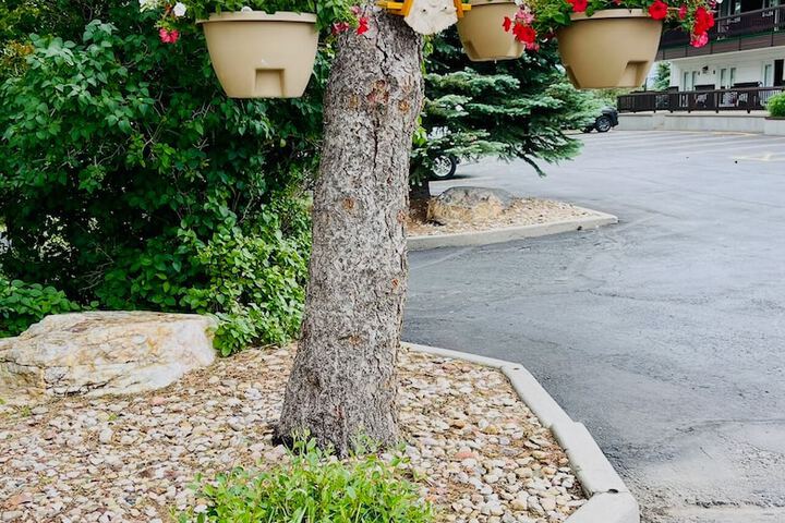Bavarian Inn Black Hills