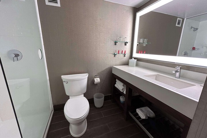 Skyline Hotel Detroit Airport SureStay Collection by BW
