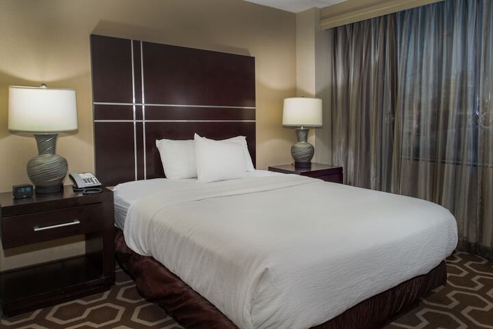 Embassy Suites by Hilton St. Louis Airport