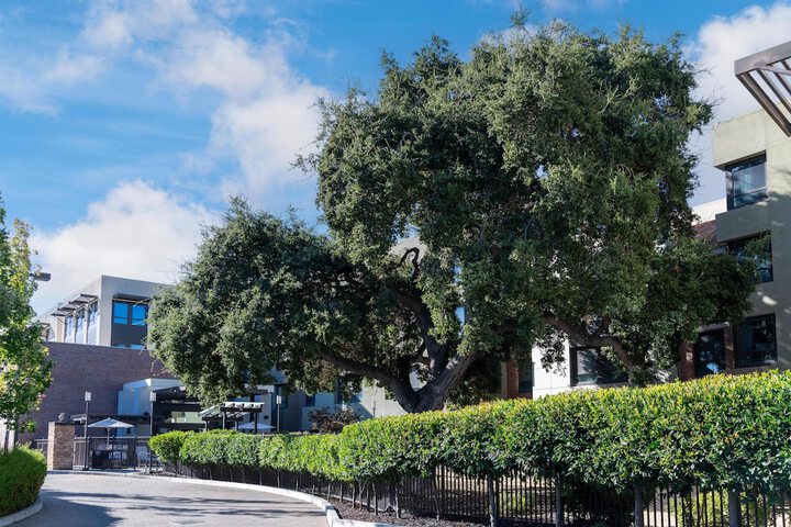 Homewood Suites by Hilton Palo Alto