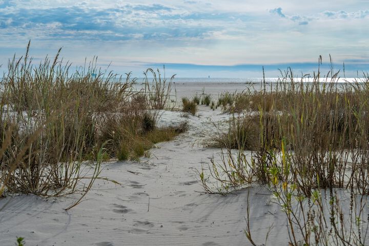 Dauphin Luv B - Beach Club #201-b 2 Bedroom Condo