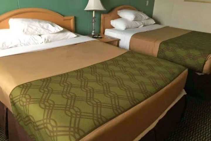 Warrior INN