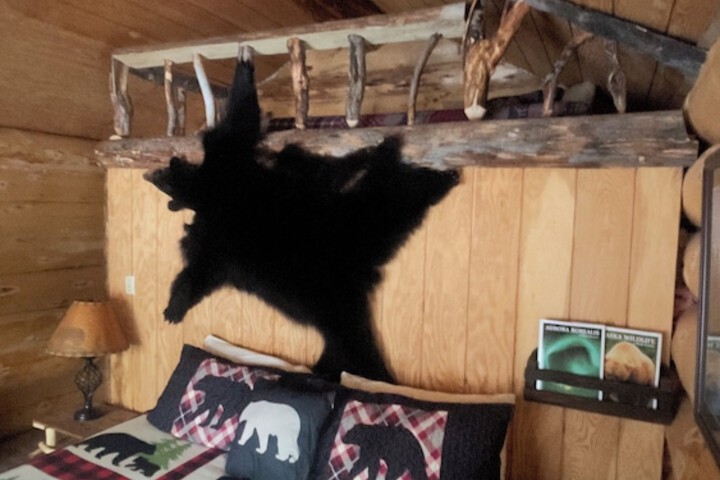 Wrangell Mountain Lodge