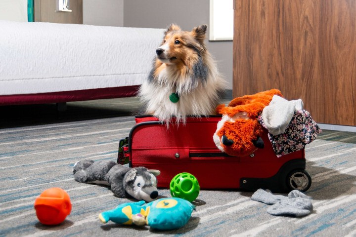 Hampton Inn & Suites Hartford / Farmington
