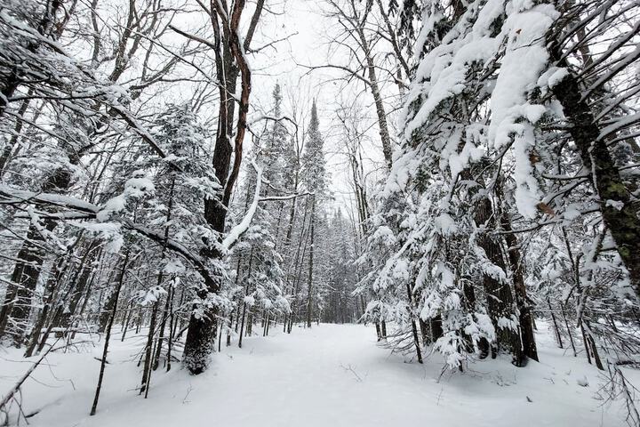 Holiday Acres Resort